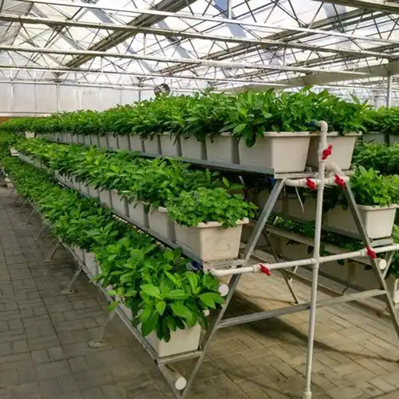 拉萨市植物工厂智慧农业 - 排名
