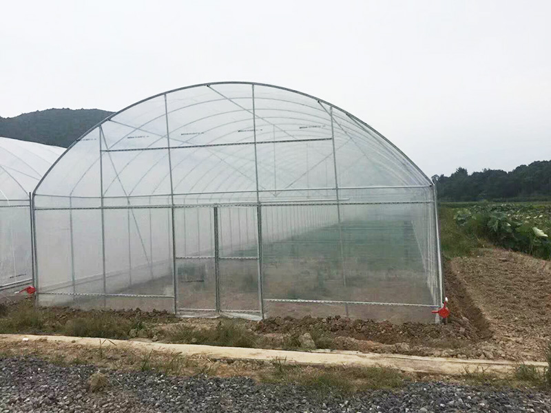 拉萨市薄膜大棚鱼菜共生 - 方案